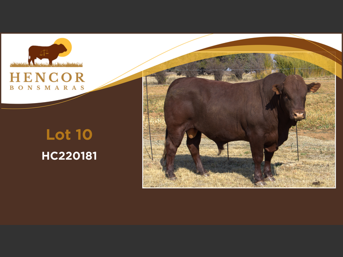 HC  220181 | HENCOR BOERDERY
