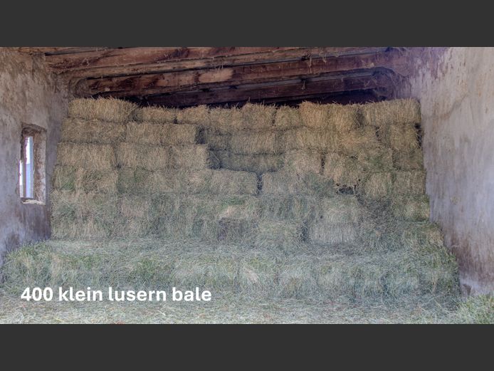 Lusern klein bale