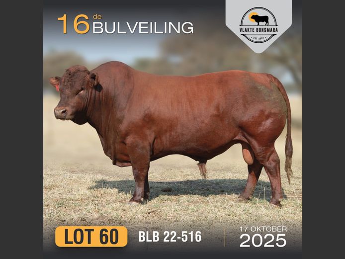 BLB 220516 | BOSLAND BOERDERY