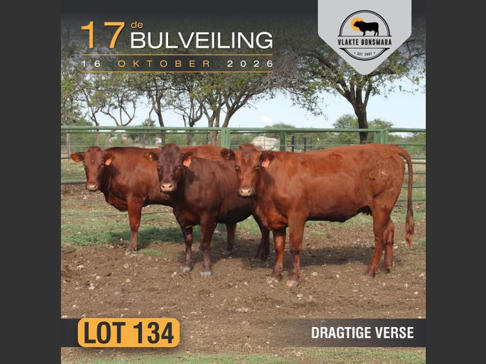 Commercial Animals | Bosland Boerdery