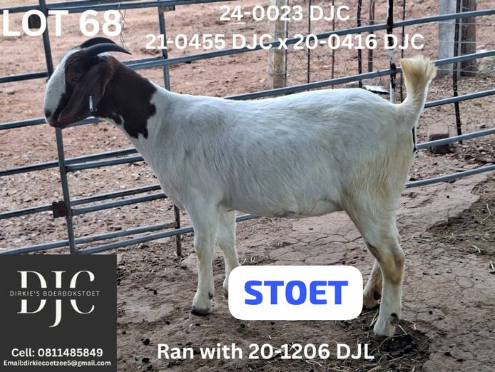 24-0023 DJC | DIRKIE COETZEE