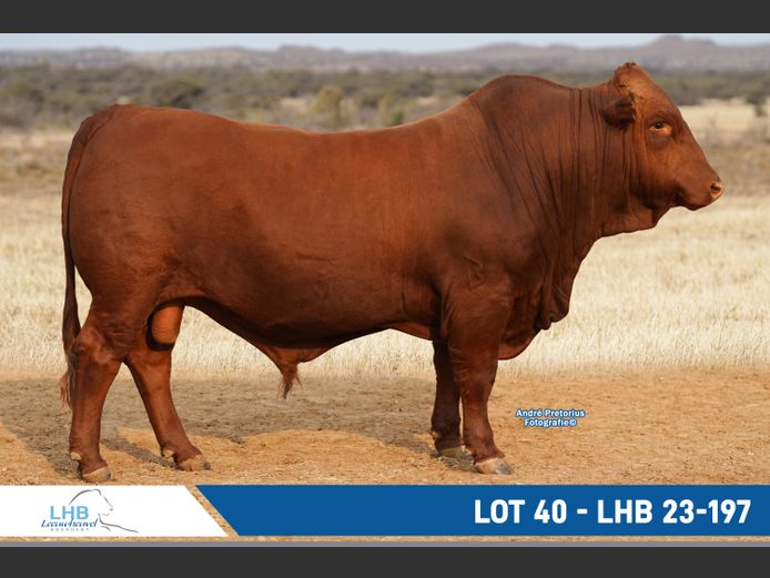 LHB230197 | LEEUHEUWEL BOERDERY (EDMS) BPK