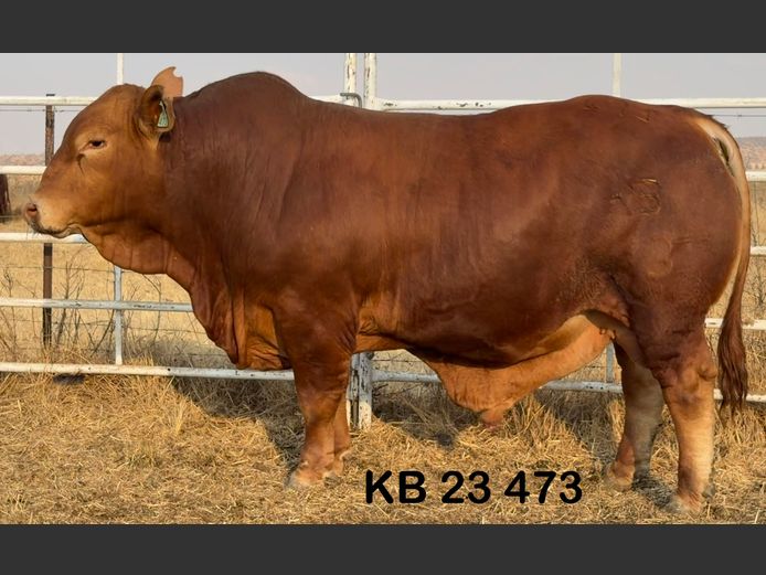 KB23473