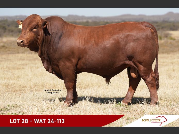 WAT240113 | KRUGER BOERDERY
