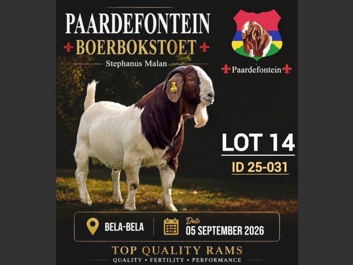 116250031 | PAARDEFONTEIN