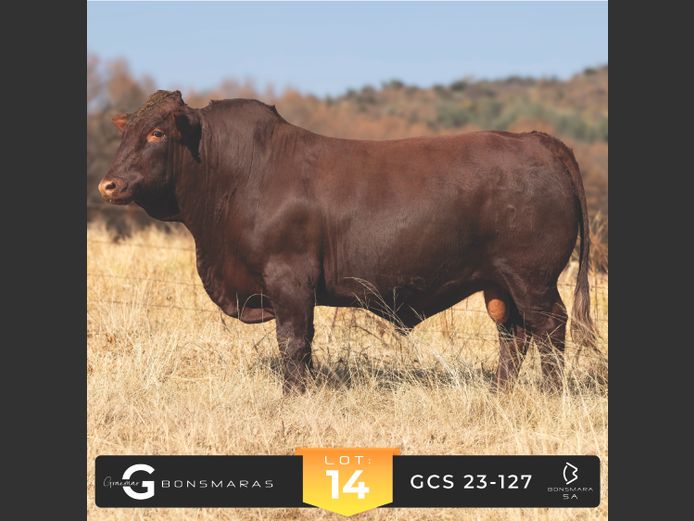 GCS 230127 | G.C. STANFORD