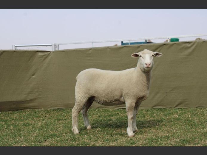 CVM 240038 | KALKVLEY DORMERS