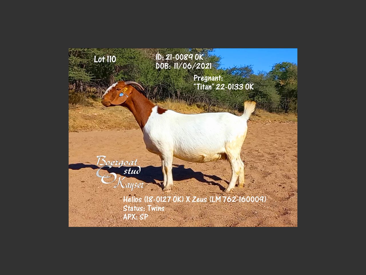 images