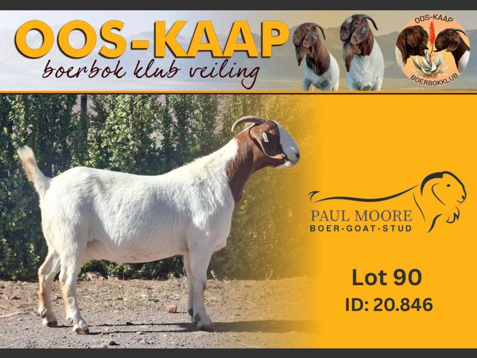 20 -846 | Paul Moore