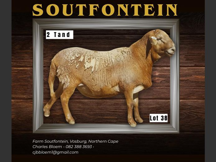 CB 240132 | SOUTFONTEIN MEATMASTERS