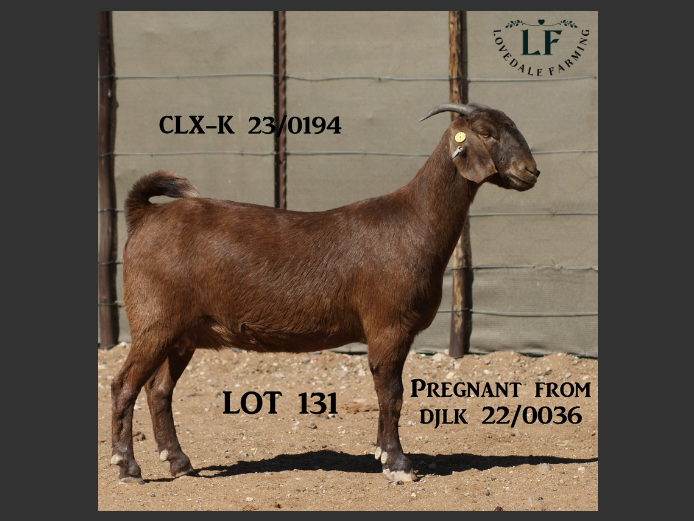 LOVEDALE FARMING | 23-0194CLX-K