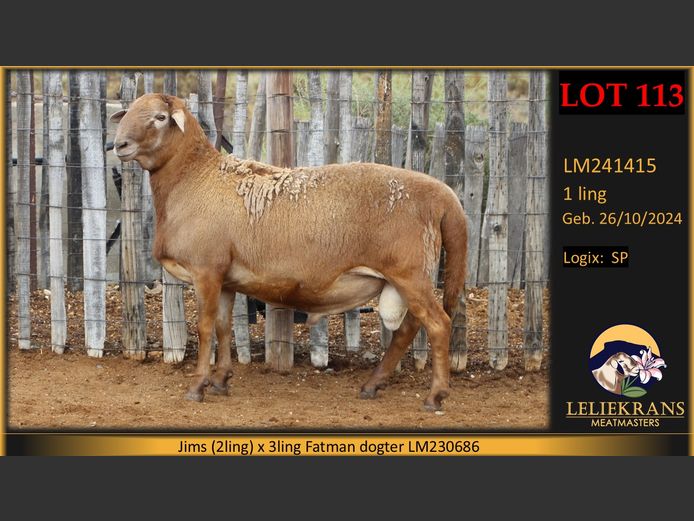 LM241415 | LELIEKRANS MEATMASTERS