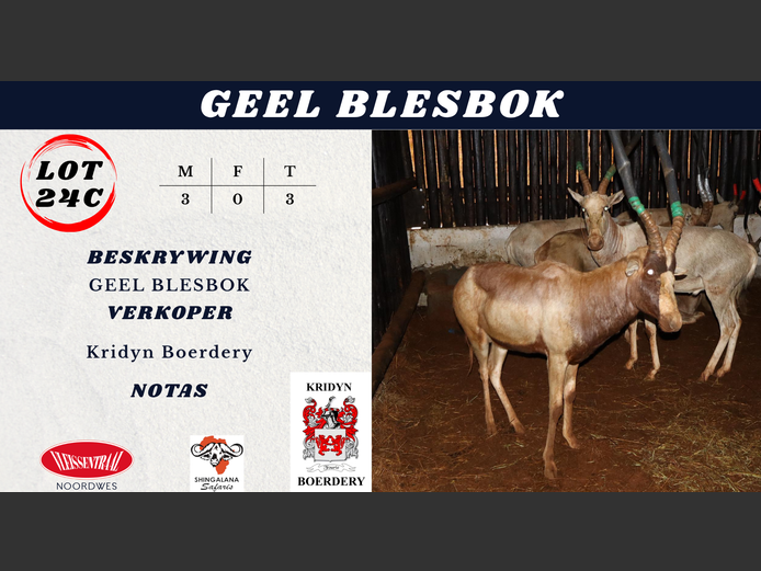 GEEL BLESBOK
