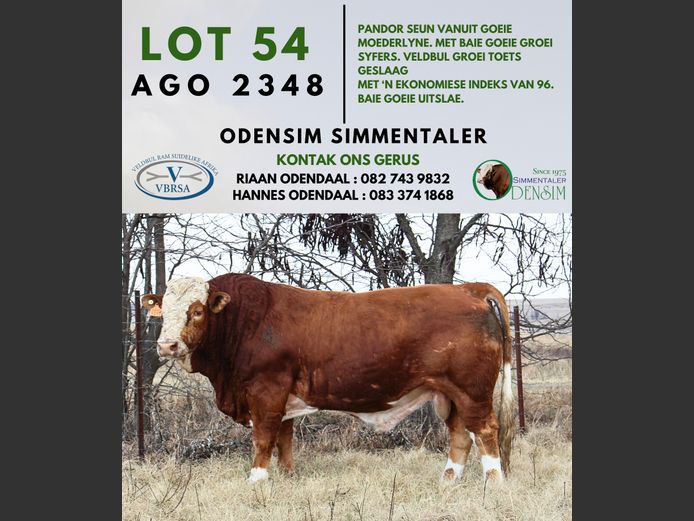 AGO2348 | AG ODENDAAL