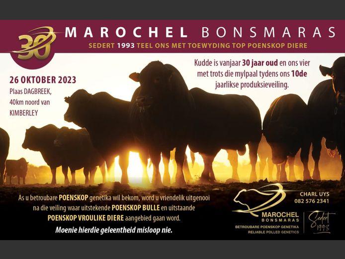 MAROCHEL BONSMARAS 10DE PRODUKSIEVEILING