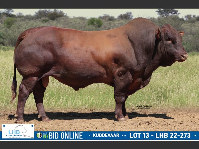 LHB 220273 | LEEUHEUWEL BOERDERY (EDMS) BPK