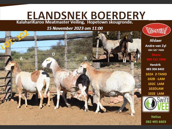 RSL 102 C | ELANDSNEK BOERDERY