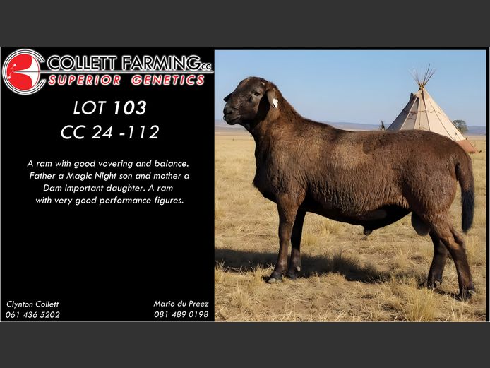 CC 240112 | COLLETT FARMING CC