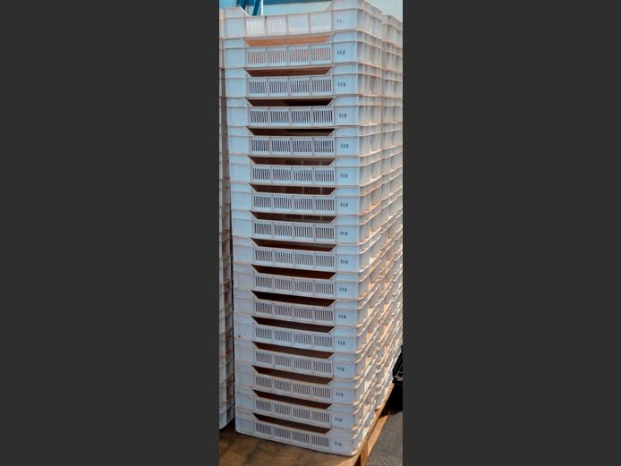 LOT OF 16: PLASTIC FRUIT CRATES