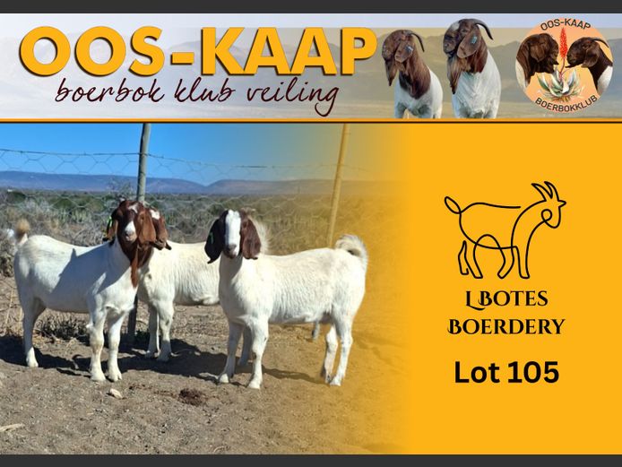 2 | L Botes Boerdery