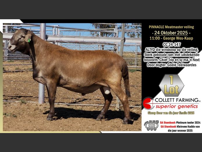 CC  240147 | COLLETT FARMING CC