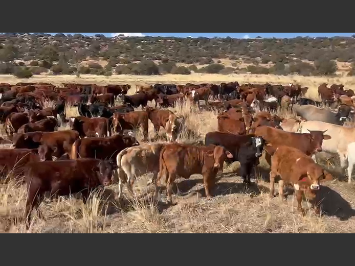 Weaners 