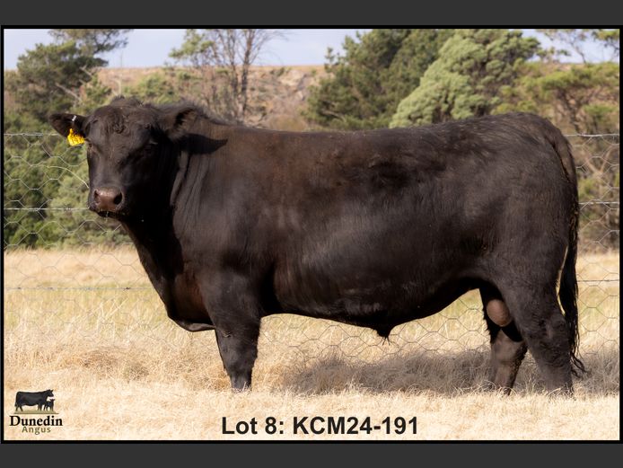 KCM240191 PcPc