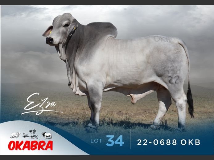 22-0688 OKB