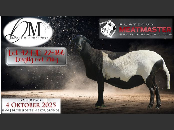 FJD 22-166 | Piet & Cois Delport - Delport Boerdery, Wesselsbron