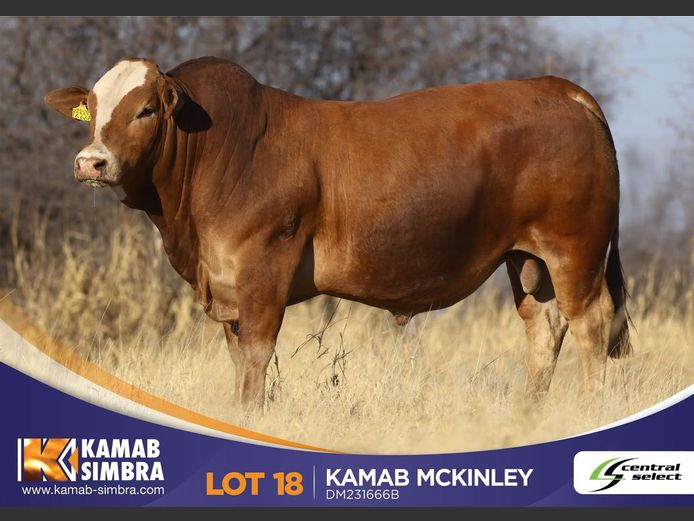 DM231666B | KAMAB SIMBRA