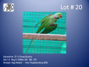images