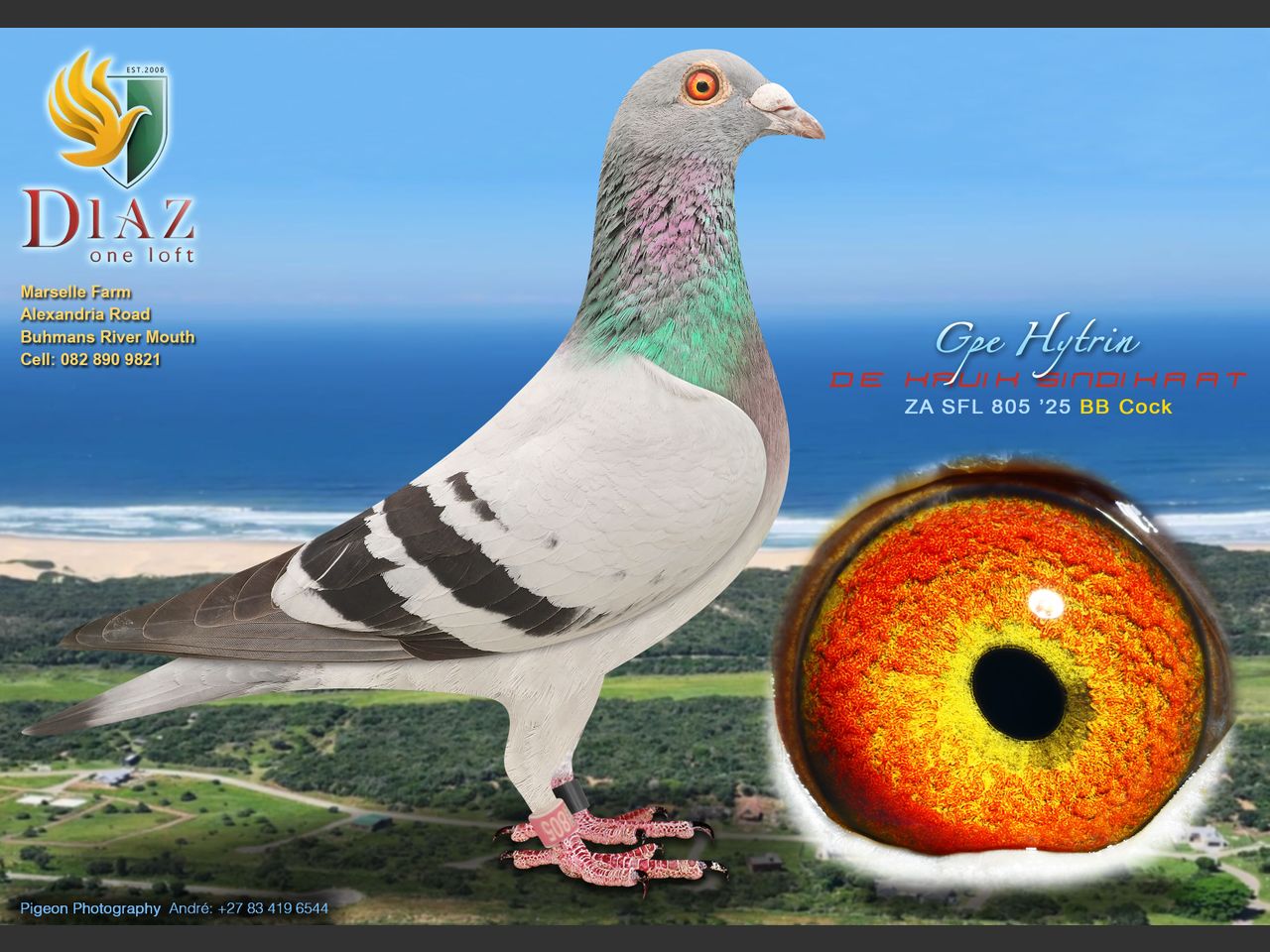 images