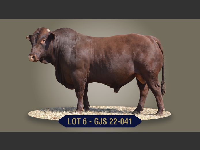 GJS220041 | G.J. STRYDOM