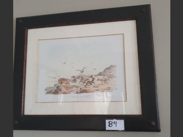 Darkwood Framed Print "Hyenas Hunting"