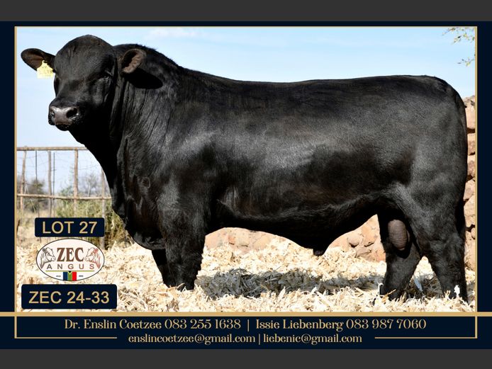 ZEC240033PcPc | Z.E. COETZEE