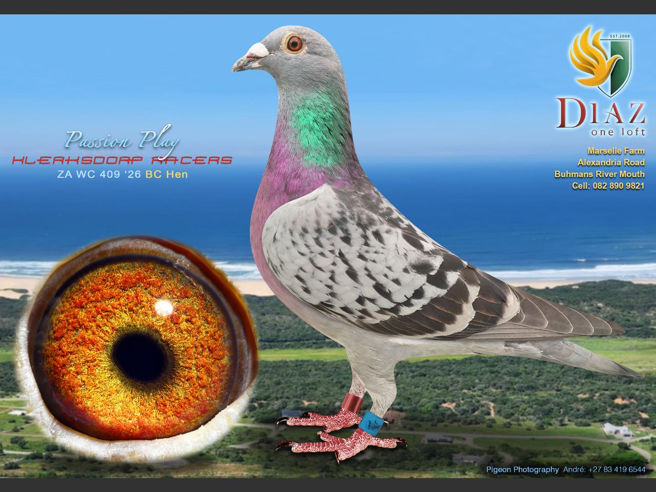images