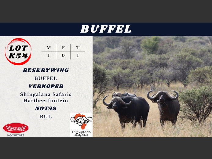 BUFFEL