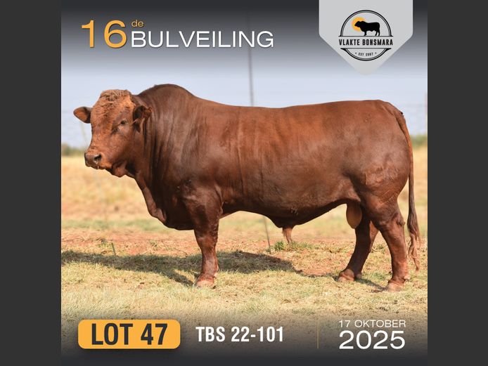 TBS 220101 | THABA KWENA BONSMARAS