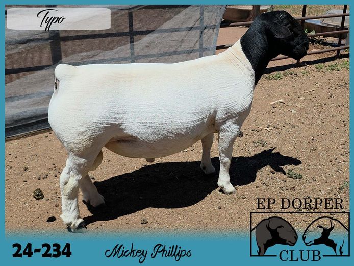 24-234 | Mickey Phillips