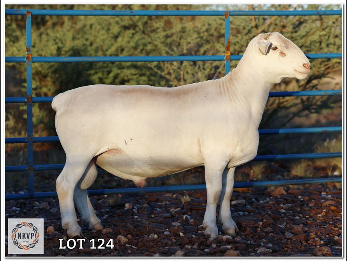 2310 24 0291W | J.J. HUMAN