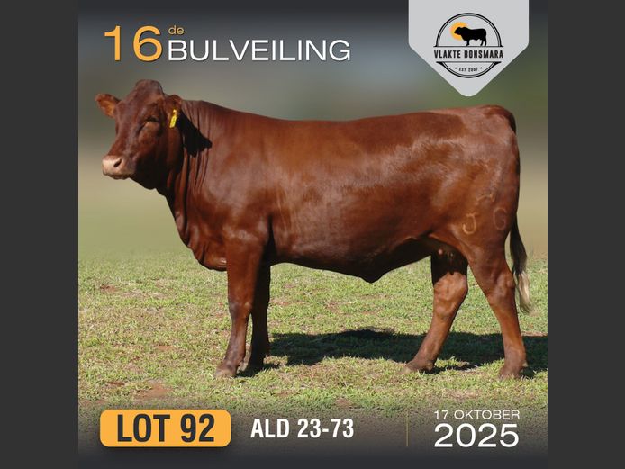 ALD 230073 | ALDIGO BONSMARAS