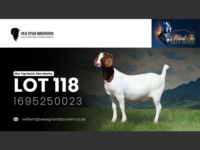 1695250023 | VEA Boerbokstoet 