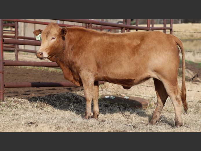 HBH 230049 | CLARK CATTLE COMPANY PTY LTD