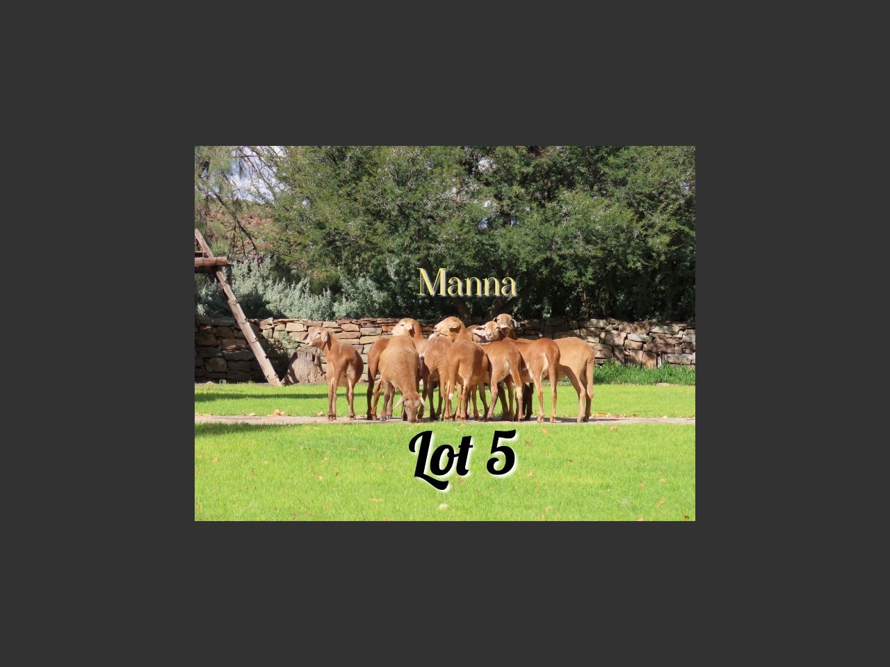 images
