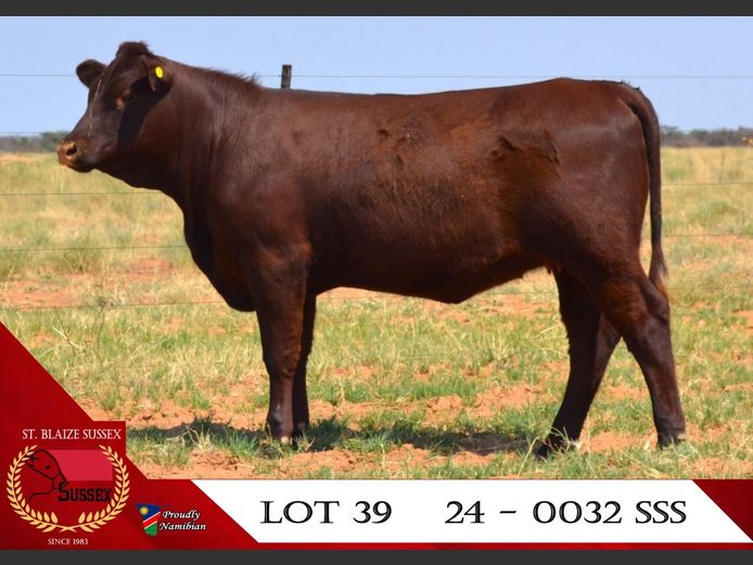 24-0032SSS | ST. BLAIZE SUSSEX