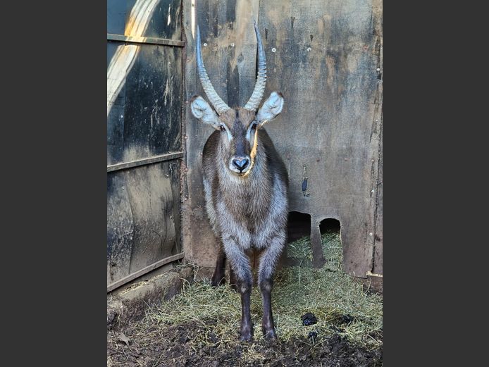 WATERBUCK | UNICO PROJECTS
