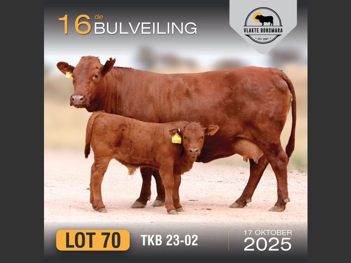 TKB 230002 | TIAN KRUGER BOERDERY PTY LTD