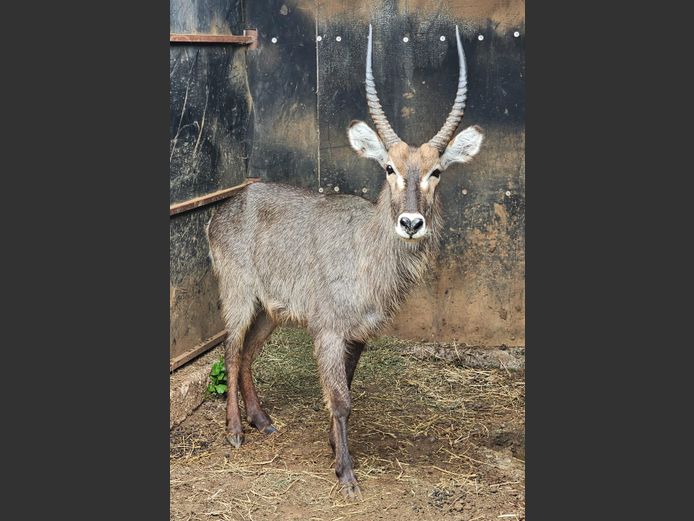 WATERBOK | WATERBERG AVIATION