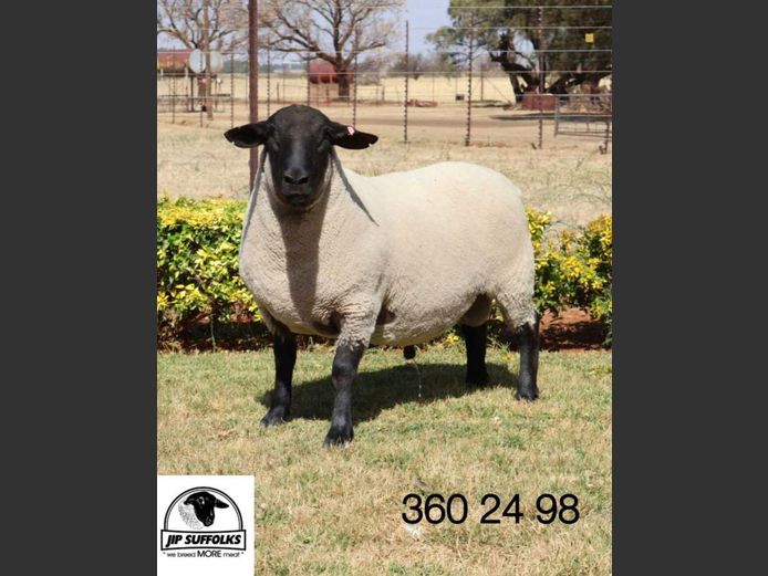 360240098 | J.I. POTGIETER