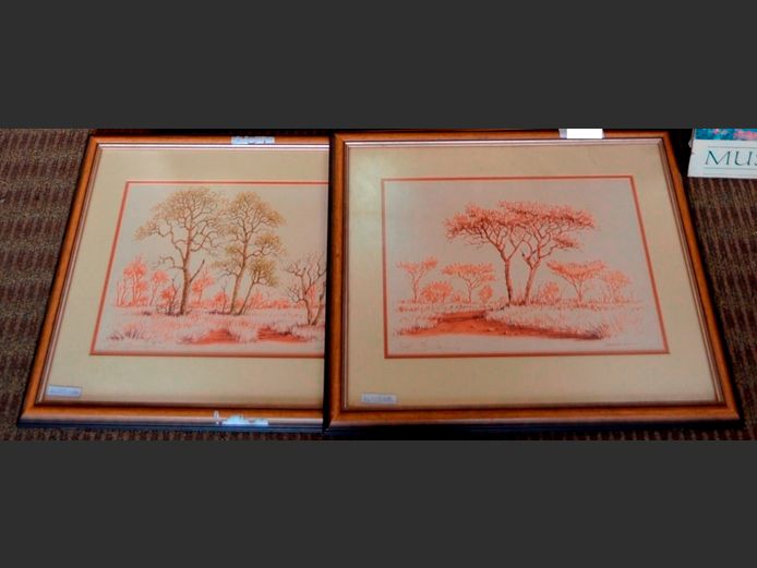 PAIR FRAMED BUSHVELD PRINTS, 38 x 25cm